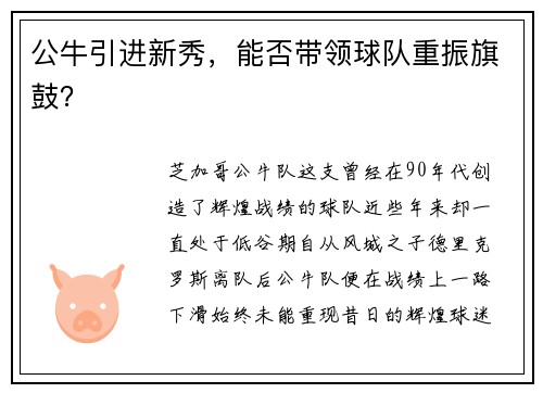公牛引进新秀，能否带领球队重振旗鼓？